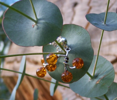 Amber Silver Earrings to stick ES1024